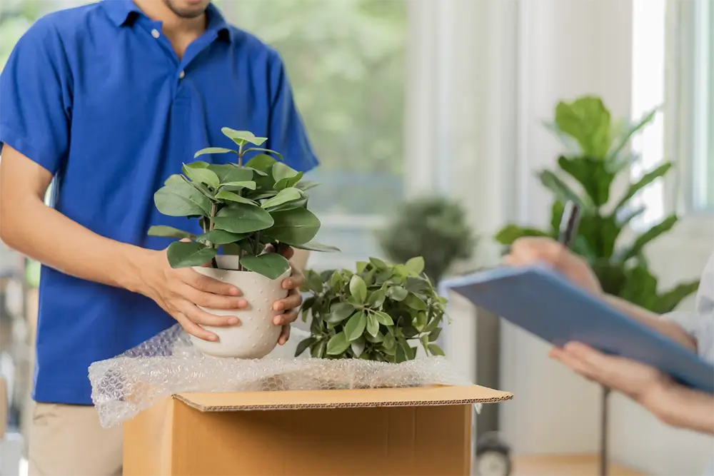 Eco-friendly delivery